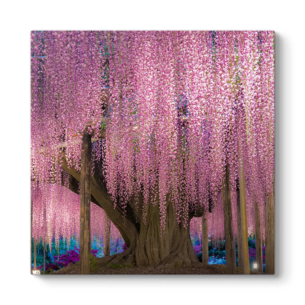 Pembe Wisteria Ağacı Tablosu - Model 3
